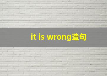 it is wrong造句